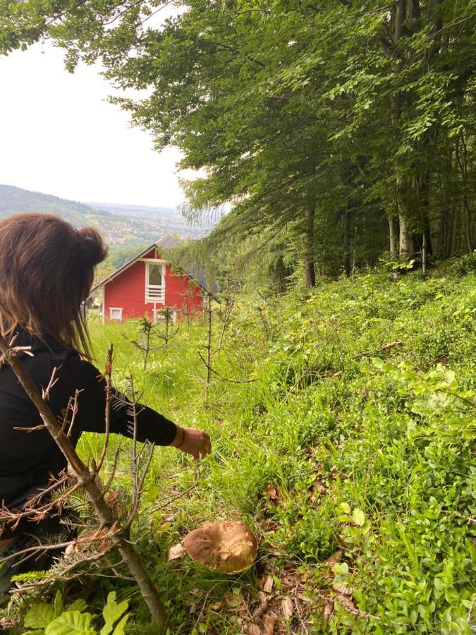 Forest House Targanice Bagian luar foto