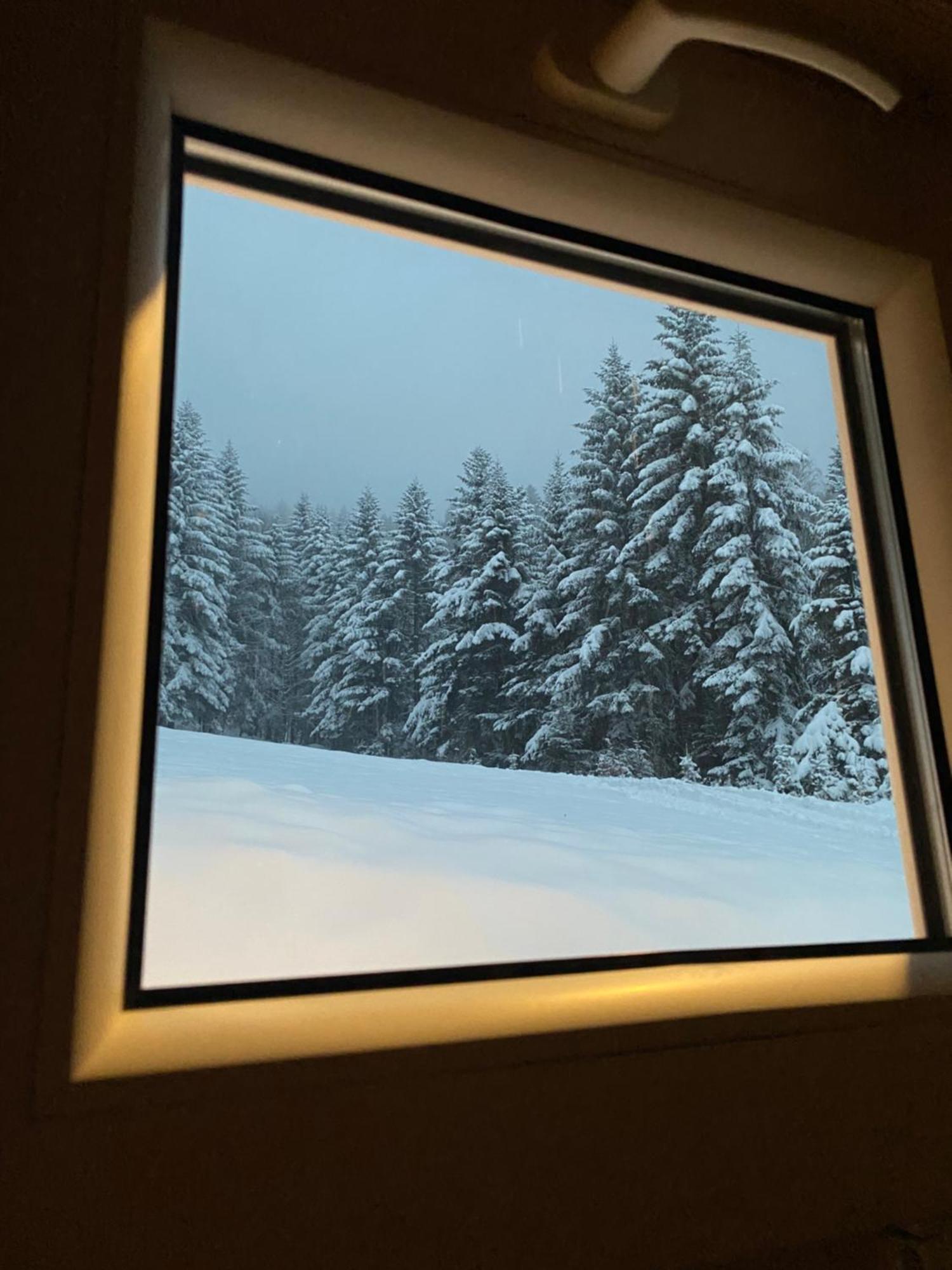Forest House Targanice Bagian luar foto