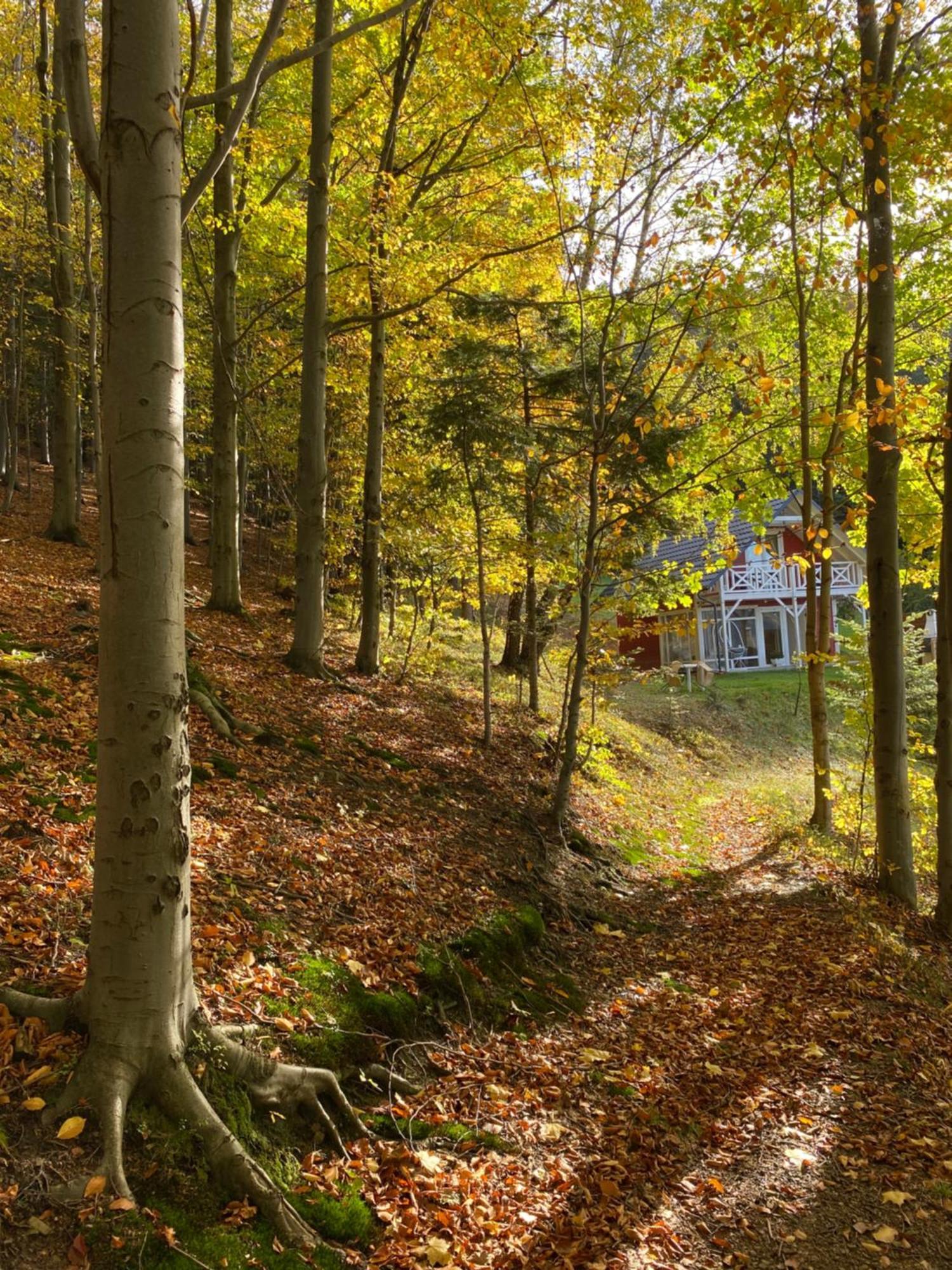 Forest House Targanice Bagian luar foto