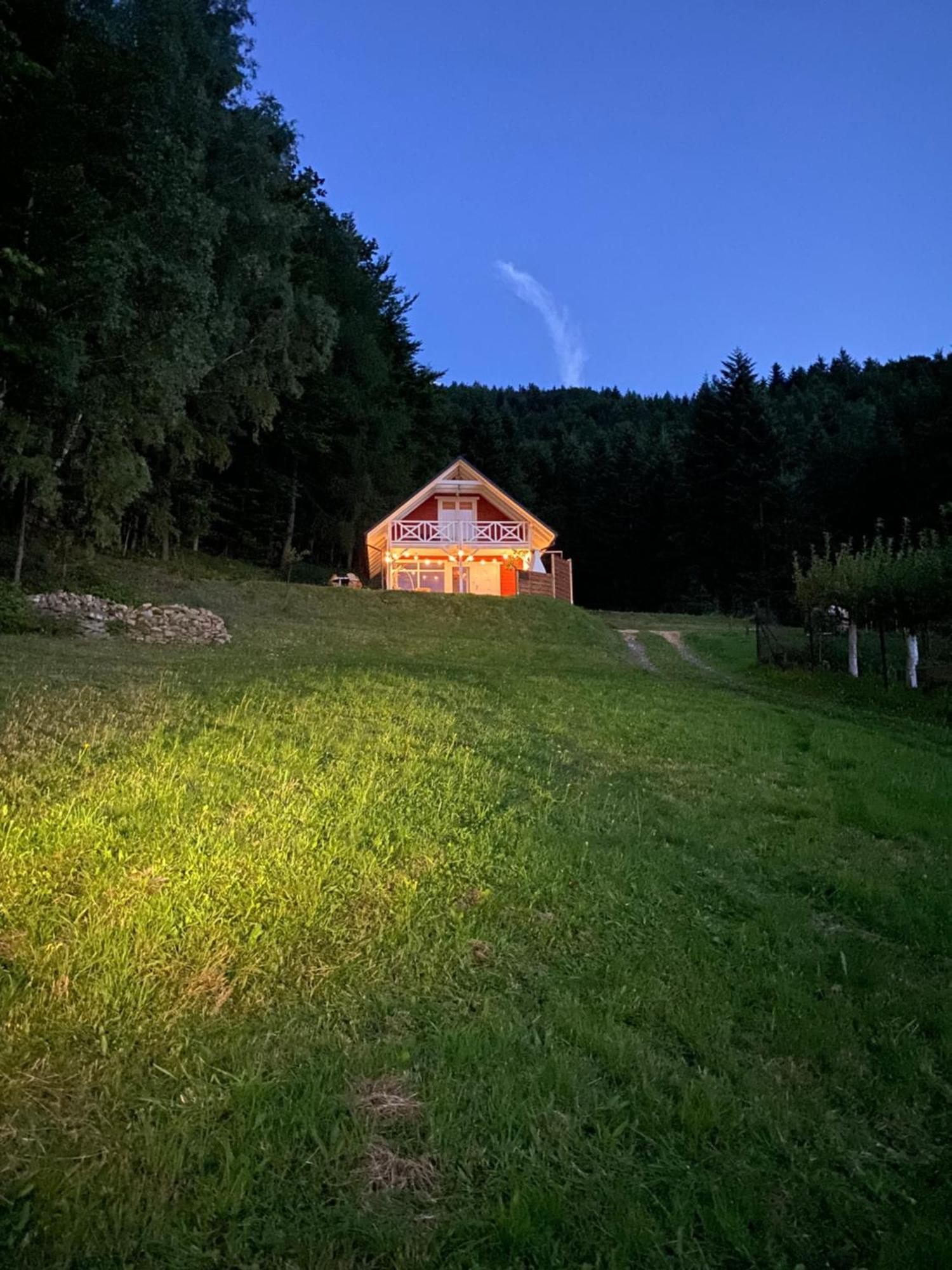 Forest House Targanice Bagian luar foto