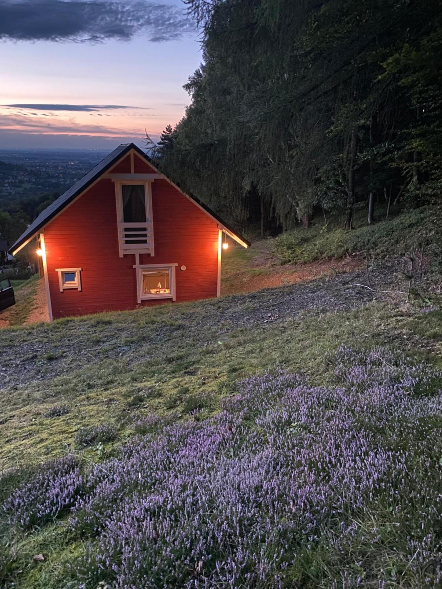 Forest House Targanice Bagian luar foto